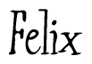 The image contains the word 'Felix' written in a cursive, stylized font.