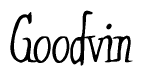 The image is of the word Goodvin stylized in a cursive script.