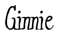 The image is a stylized text or script that reads 'Ginnie' in a cursive or calligraphic font.