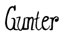The image contains the word 'Gunter' written in a cursive, stylized font.