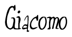 The image is of the word Giacomo stylized in a cursive script.