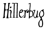 The image is of the word Hillerbug stylized in a cursive script.