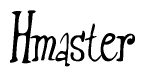 The image is of the word Hmaster stylized in a cursive script.