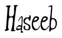 The image contains the word 'Haseeb' written in a cursive, stylized font.
