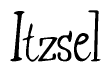 The image is a stylized text or script that reads 'Itzsel' in a cursive or calligraphic font.