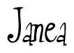 The image is a stylized text or script that reads 'Janea' in a cursive or calligraphic font.