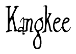 The image is of the word Kangkee stylized in a cursive script.