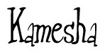 The image is a stylized text or script that reads 'Kamesha' in a cursive or calligraphic font.