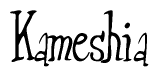 The image is of the word Kameshia stylized in a cursive script.