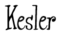 The image is of the word Kesler stylized in a cursive script.