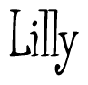 The image contains the word 'Lilly' written in a cursive, stylized font.