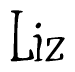 The image is a stylized text or script that reads 'Liz' in a cursive or calligraphic font.