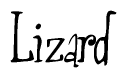 The image is of the word Lizard stylized in a cursive script.