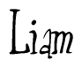 The image is of the word Liam stylized in a cursive script.