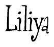 The image is of the word Liliya stylized in a cursive script.