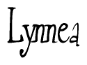 The image is of the word Lynnea stylized in a cursive script.