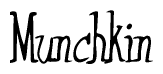 The image is of the word Munchkin stylized in a cursive script.
