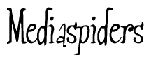 The image is of the word Mediaspiders stylized in a cursive script.