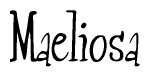 The image is a stylized text or script that reads 'Maeliosa' in a cursive or calligraphic font.