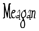 The image is of the word Meagan stylized in a cursive script.