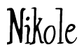 The image is of the word Nikole stylized in a cursive script.