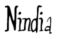 The image is a stylized text or script that reads 'Nindia' in a cursive or calligraphic font.
