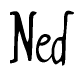 The image is of the word Ned stylized in a cursive script.