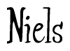 The image is a stylized text or script that reads 'Niels' in a cursive or calligraphic font.