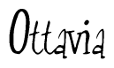 The image contains the word 'Ottavia' written in a cursive, stylized font.