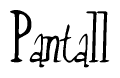 The image is of the word Pantall stylized in a cursive script.