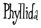 The image is a stylized text or script that reads 'Phyllida' in a cursive or calligraphic font.