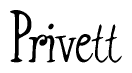The image is of the word Privett stylized in a cursive script.