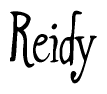 The image contains the word 'Reidy' written in a cursive, stylized font.