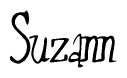 The image is of the word Suzann stylized in a cursive script.