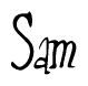 The image contains the word 'Sam' written in a cursive, stylized font.