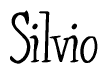 The image contains the word 'Silvio' written in a cursive, stylized font.