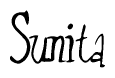 The image is of the word Sunita stylized in a cursive script.