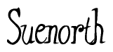 The image is of the word Suenorth stylized in a cursive script.