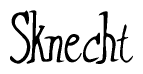 The image is a stylized text or script that reads 'Sknecht' in a cursive or calligraphic font.