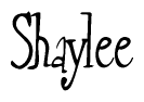 The image is a stylized text or script that reads 'Shaylee' in a cursive or calligraphic font.