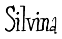 The image contains the word 'Silvina' written in a cursive, stylized font.