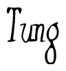 The image contains the word 'Tung' written in a cursive, stylized font.