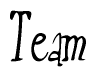 The image is of the word Team stylized in a cursive script.