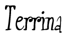 The image is of the word Terrina stylized in a cursive script.