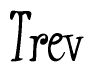The image contains the word 'Trev' written in a cursive, stylized font.