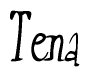 The image is of the word Tena stylized in a cursive script.