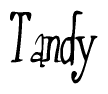 The image is of the word Tandy stylized in a cursive script.