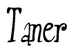 The image is of the word Taner stylized in a cursive script.
