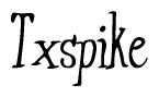 The image is of the word Txspike stylized in a cursive script.