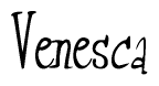 The image contains the word 'Venesca' written in a cursive, stylized font.